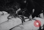 Image de bombes au napalm Corée, 1951, de la seconde 13 séquences d'archives historiques vidéo 65675033392
