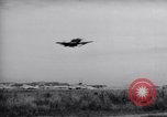 Image F-51d'avions Corée, 1951, de la seconde 22 séquences d'archives historiques vidéo 65675033393
