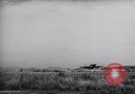 Image F-51d'avions Corée, 1951, de la seconde 32 séquences d'archives historiques vidéo 65675033393