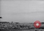 Image F-51d'avions Corée, 1951, de la seconde 45 séquences d'archives historiques vidéo 65675033393