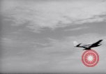 Image F-51d'avions Corée, 1951, de la seconde 54 séquences d'archives historiques vidéo 65675033393
