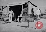 Standbild 18 Fighter Bomber Wing Korea, 1951, aus Sekunde 62 historischem Filmmaterial Videoclip 65675033396