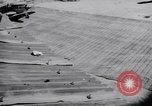 Image of 18th Fighter Bomber Wing Korea, 1951, second 50 stock footage video 65675033397