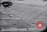 Image of 18th Fighter Bomber Wing Korea, 1951, second 51 stock footage video 65675033397