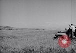 Image of 18th Fighter Bomber Wing Korea, 1951, second 39 stock footage video 65675033398