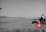 Image of 18th Fighter Bomber Wing Korea, 1951, second 47 stock footage video 65675033398