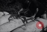 Image of United States soldiers Korea, 1951, second 33 stock footage video 65675033401