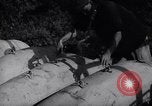 Image of United States soldiers Korea, 1951, second 35 stock footage video 65675033401