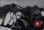 Image of United States soldiers Korea, 1951, second 37 stock footage video 65675033401
