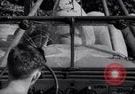 Image of United States soldiers Korea, 1951, second 48 stock footage video 65675033401