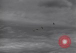 Image of P-51s of 354th Fighter Group landing Criqueville France, 1944, second 10 stock footage video 65675033408