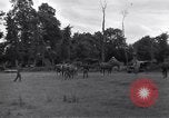 Standbild Jagdflieger des 9 Air Force Criqueville Frankreich, 1944, aus Sekunde 7 historischem Filmmaterial Videoclip 65675033411