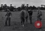 Standbild Jagdflieger des 9 Air Force Criqueville Frankreich, 1944, aus Sekunde 41 historischem Filmmaterial Videoclip 65675033411