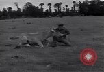 Standbild Jagdflieger des 9 Air Force Criqueville Frankreich, 1944, aus Sekunde 43 historischem Filmmaterial Videoclip 65675033411
