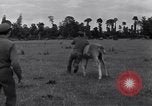 Standbild Jagdflieger des 9 Air Force Criqueville Frankreich, 1944, aus Sekunde 45 historischem Filmmaterial Videoclip 65675033411