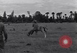 Standbild Jagdflieger des 9 Air Force Criqueville Frankreich, 1944, aus Sekunde 46 historischem Filmmaterial Videoclip 65675033411