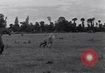 Standbild Jagdflieger des 9 Air Force Criqueville Frankreich, 1944, aus Sekunde 47 historischem Filmmaterial Videoclip 65675033411