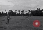 Standbild Jagdflieger des 9 Air Force Criqueville Frankreich, 1944, aus Sekunde 55 historischem Filmmaterial Videoclip 65675033411