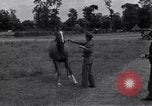 Standbild Jagdflieger des 9 Air Force Criqueville Frankreich, 1944, aus Sekunde 62 historischem Filmmaterial Videoclip 65675033411