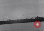 Image of 2nd Squadron, 5th U.S. Cavalry Regiment, Reconnaissance in Force Los Negros Admiralty Islands, 1944, second 6 stock footage video 65675033416