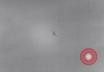 Image of 2nd Squadron, 5th U.S. Cavalry Regiment, Reconnaissance in Force Los Negros Admiralty Islands, 1944, second 24 stock footage video 65675033416