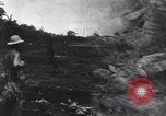 Image of 1st Cavalry Division New Guinea, 1944, second 1 stock footage video 65675033417