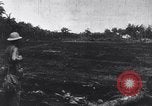 Image of 1st Cavalry Division New Guinea, 1944, second 3 stock footage video 65675033417