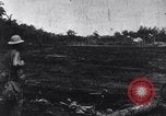 Image of 1st Cavalry Division New Guinea, 1944, second 4 stock footage video 65675033417