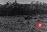 Image of 1st Cavalry Division New Guinea, 1944, second 8 stock footage video 65675033417