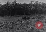 Image of 1st Cavalry Division New Guinea, 1944, second 9 stock footage video 65675033417