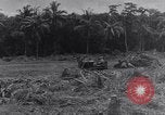 Image of 1st Cavalry Division New Guinea, 1944, second 10 stock footage video 65675033417