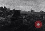 Image of 1st Cavalry Division New Guinea, 1944, second 12 stock footage video 65675033417