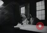 Image of job training for Mentally disabled Connecticut USA, 1969, second 9 stock footage video 65675033429