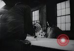 Image of job training for Mentally disabled Connecticut USA, 1969, second 10 stock footage video 65675033429
