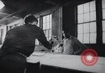 Image of job training for Mentally disabled Connecticut USA, 1969, second 17 stock footage video 65675033429