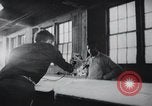 Image of job training for Mentally disabled Connecticut USA, 1969, second 18 stock footage video 65675033429