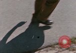 Image of Orientation of mentally disabled United States USA, 1975, second 29 stock footage video 65675033435