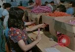 Image of Opportunities for mentally disabled people United States USA, 1975, second 7 stock footage video 65675033436