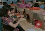 Image of Opportunities for mentally disabled people United States USA, 1975, second 9 stock footage video 65675033436