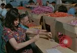 Image of Opportunities for mentally disabled people United States USA, 1975, second 11 stock footage video 65675033436