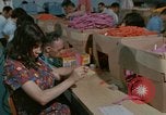 Image of Opportunities for mentally disabled people United States USA, 1975, second 12 stock footage video 65675033436