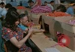 Image of Opportunities for mentally disabled people United States USA, 1975, second 13 stock footage video 65675033436