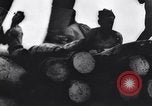 Image of Allied Forces Tunisia North Africa, 1943, second 51 stock footage video 65675033479