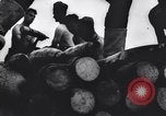 Image of Allied Forces Tunisia North Africa, 1943, second 52 stock footage video 65675033479