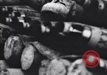 Image of Allied Forces Tunisia North Africa, 1943, second 55 stock footage video 65675033479