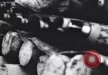 Image of Allied Forces Tunisia North Africa, 1943, second 56 stock footage video 65675033479