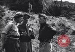 Image of Allied Forces Tunisia North Africa, 1943, second 13 stock footage video 65675033480