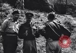 Image of Allied Forces Tunisia North Africa, 1943, second 16 stock footage video 65675033480
