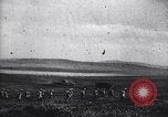 Image of Allied Forces Tunisia North Africa, 1943, second 24 stock footage video 65675033480