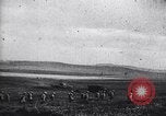 Image of Allied Forces Tunisia North Africa, 1943, second 25 stock footage video 65675033480